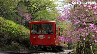 遠眺晴空塔私房景點　搭纜車8分攻頂