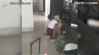 狗狗難過主人去上學　她立馬抱緊處理