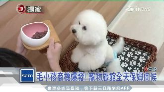 毛小孩商機爆發　寵物旅館比人還要好