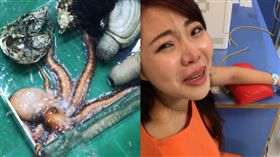 圖/翻攝自宛宛兒臉書 