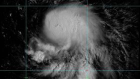 榕樹,颱風 圖／翻攝自鄭明典臉書