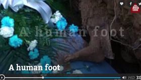 翻攝《紐約每日新聞報》