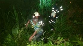 桃園老翁　困芒草叢