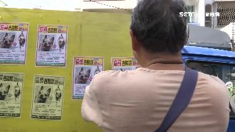 阿力快回來！主人開廣播車沿街找愛犬