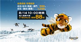搶票要快！台灣虎航冬季班表14日上午開賣