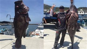 巨無霸七帶石斑　圖／翻攝畫面