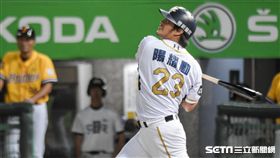 lamigo陽耀勳。（資料照／記者林敬旻攝）