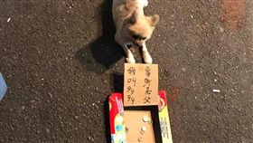 博美,賣身救父,夜市