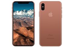 據傳iPhone 8金色款式會是腮紅金。（圖／翻攝自Benjamin Geskin推特）