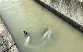 實習醫生,中暑,水溝,摔車