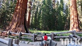 女人幫滔客(圖片版權屬於滔客線上雜誌)