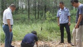 盜墓,鬼吹燈,小說,小說,大陸,安徽,勝崗漢墓群　圖／翻攝自微博