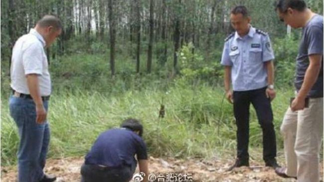 陸笨賊迷鬼吹燈　異想天開盜墓秒被抓