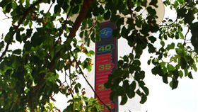 溫度,高溫,太陽閃焰(鄭明典臉書 https://www.facebook.com/photo.php?fbid=1686624281348481&set=a.106191752725083.11943.100000027774499&type=3&theater)