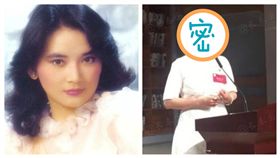 胡慧中（合成圖／翻攝自新長春國貿微博）