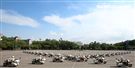 憲兵機車排重機訓練花式隊形成果展示。（記者邱榮吉/攝影）