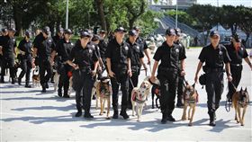 世大運,新北市政府,警犬（圖／翻攝畫面）