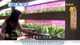 IT老兵當現代農夫　地底蓋植物工廠