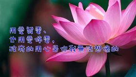 創作,張大春,電廠,布萊恩,電影,奇文,長輩圖,停電　圖／翻攝自網路