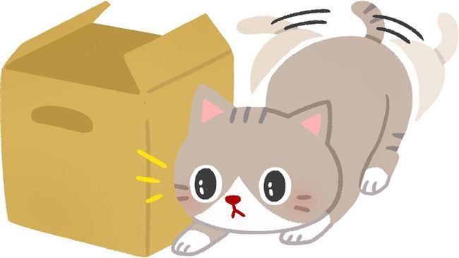 貓咪魔性舞蹈！衝刺前為何會扭屁屁？