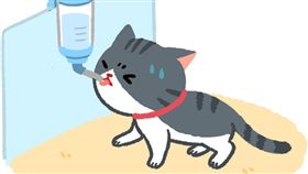 名家／毛起來／貓咪滾珠飲水器