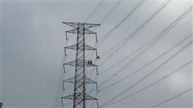 台電,維修人員,電塔（圖／翻攝自爆料公社）