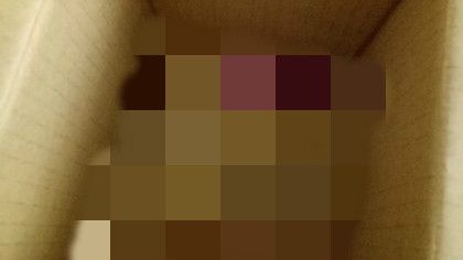 網路辦門號　收到大包裹內容物超傻眼