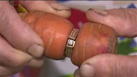 失蹤13年的婚戒卡在紅蘿蔔上。（圖／翻攝自Daily Mail）