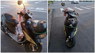 路邊機車爬滿蝸牛　網友：天然、無毒