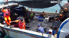 海巡人員登檢查緝。（圖／翻攝畫面）