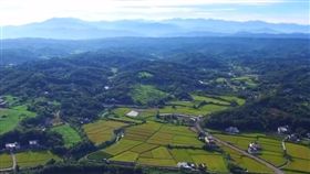 國道三號,苗栗,通霄,重返里山,高公局,大田鱉,秘境,生態,環境保育,紀錄片（圖／翻攝自freewaygov YouTube）