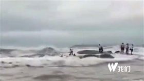 山東日照市日照燈塔風景區遊客被大浪捲走／秒拍