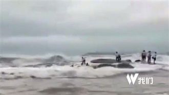 不聽勸站礁石拍照　2女遭浪捲走身亡