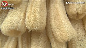 「天然的菜瓜布」　洗碗、洗澡都好用