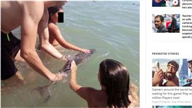 西班牙,莫哈卡爾,Mojacar,海灘,海豚,走失,死亡(mirror http://www.mirror.co.uk/news/world-news/baby-dolphin-dies-after-sunbathers-10996213)