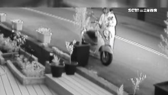 大力女怪盜現身？她徒手拔樹帶回家