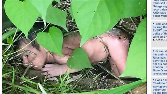 女嬰疑遭遺棄　橫躺荊棘叢中滿身血…