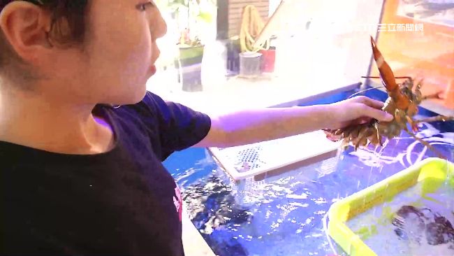 台電賠36元　店家轟：買蟹腳都不夠