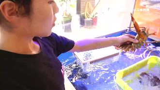 台電賠36元　店家轟：買蟹腳都不夠