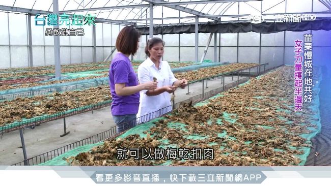 紫色夢想蔓延苗栗！女力翻新客家料理