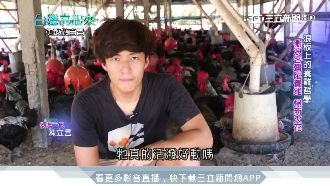 用衝浪精神養雞　牧場第二代開新局