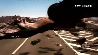 國道成鷺鷥陰屍路！架防撞網鳥屍減半