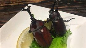 日本,橫濱,珍獸屋,料理,甲蟲,鯨魚,睪丸,刺身,蠑螈