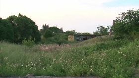 L綁鎮代主席2400