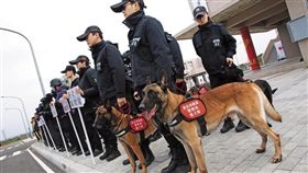 鏡週刊／炸彈當玩具咬　世大運偵爆犬訓練貽笑國際