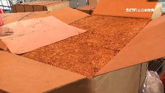 8噸菸草藏組合家具　非法走私遭查獲