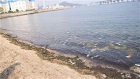 翻攝微博「大連突發」