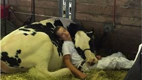 牛,男孩,睡覺,美國,愛荷華州,Mitchell Miner　圖／翻攝自Bored panda