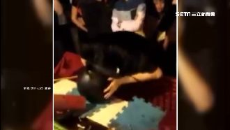 夜市夯「水球超人」　頭撞水球藏危機