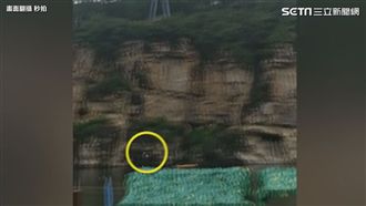 高空彈跳惡夢！遊客墜入水中